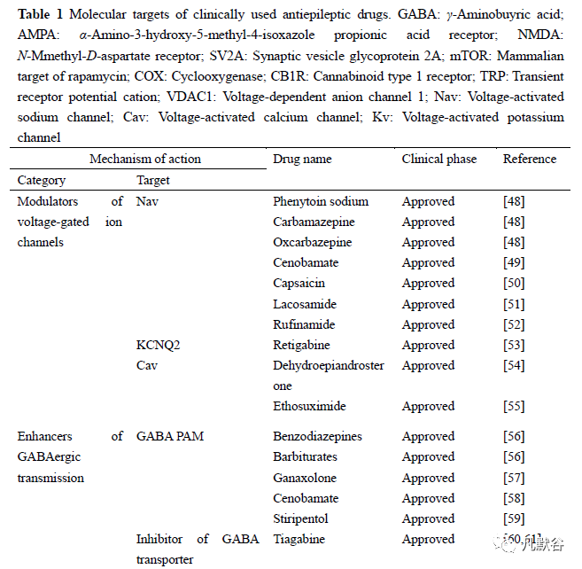癫痫的治疗和药物发现现状
