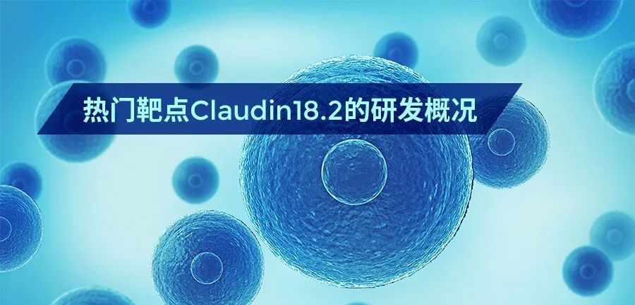 抗体 - 从TJ-CD4B获FDA批准1期临床 看热门靶点Claudin18.2的研发概况