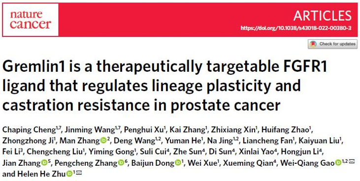 NatureCancer：前列腺癌治疗新靶点Gremlin1