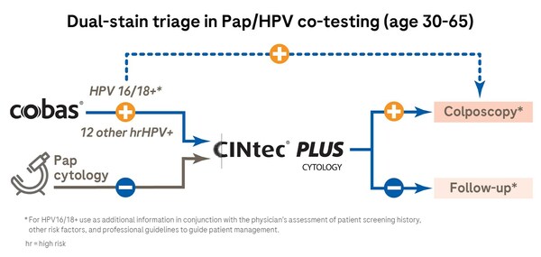 New ASCCP cervical cancer management guidelines now include dual-stain triage testing with Roche's CINtec® PLUS Cytology to enable earlier diagnosis