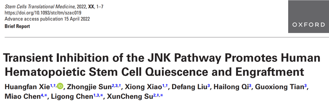 短效抑制 JNK 信号，增强造血干细胞移植功能