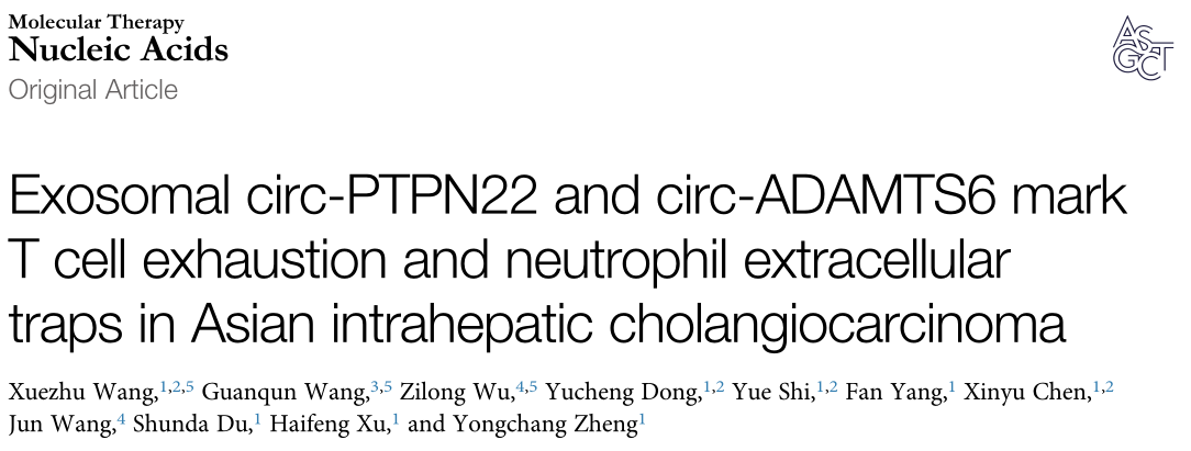 肿瘤组织和血浆外泌体中CIRC-PTPN22和CircADAMTS6的水平升高为亚洲肝内胆管细胞癌患者标志物