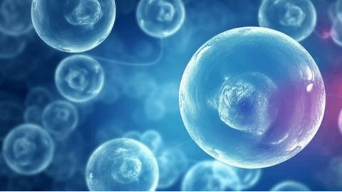 先博生物双CAR-T细胞疗法获批临床，针对胶质母细胞瘤