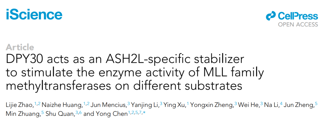 iScience：陈勇团队揭示DPY30促进MLL复合物甲基转移酶活性的分子机制