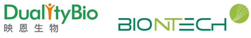 映恩生物/BioNTech新一代ADC获FDA快速通道资格
