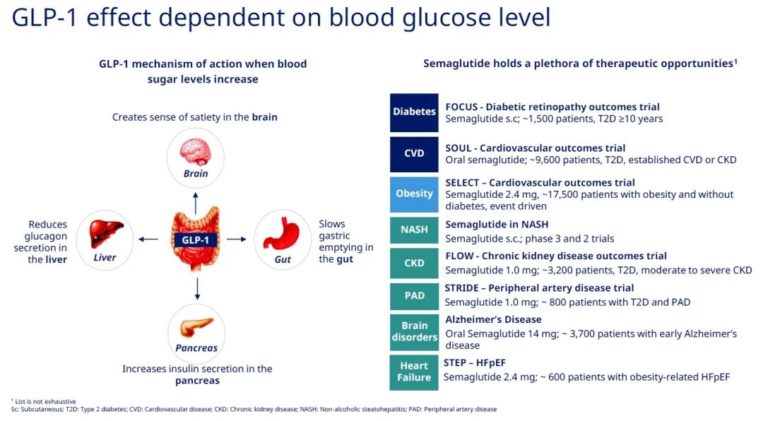 柳叶刀：GLP-1治疗患者痴呆风险更低