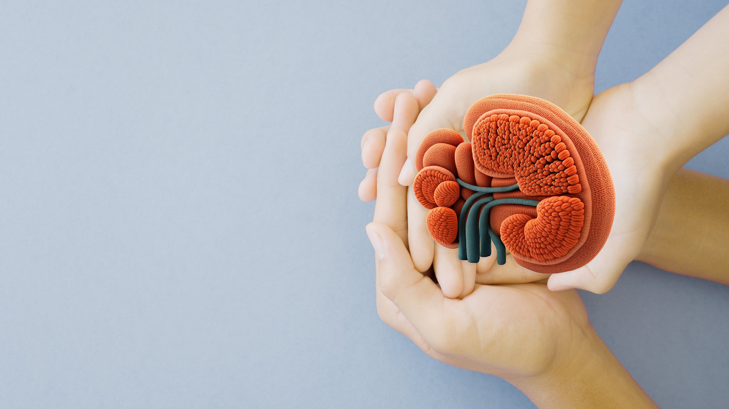 Medeor cell therapy helps kidney transplant patients taper off immunosuppressant meds