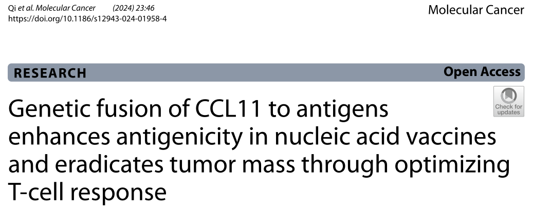 Mol Cancer: CCL11可能是一种有效的抗癌T细胞增强剂
