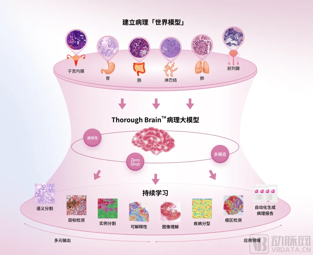 透彻未来完成近亿元A+轮融资，加速数智化病理科推广与落地