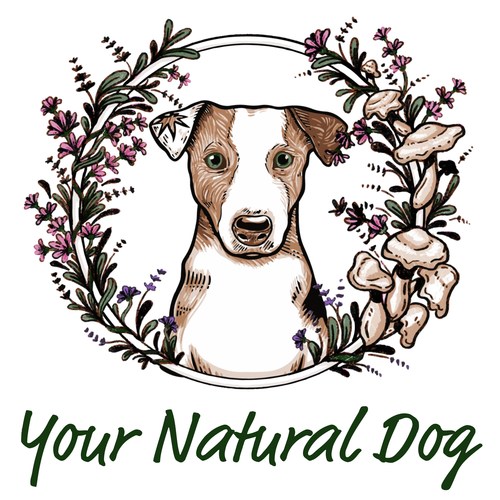 YOUR NATURAL DOG OFFERS FREE HOLISTIC PET WELLNESS EVENT - Online!