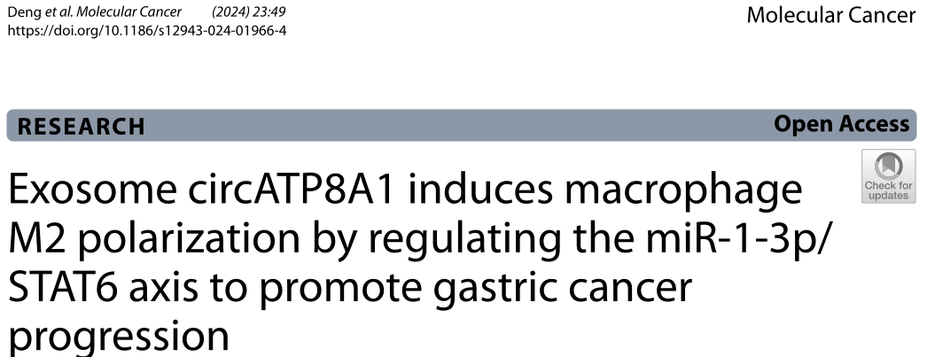 中山大学研究者们强调circATP8A1作为胃癌的潜在预后生物标志物和治疗靶点