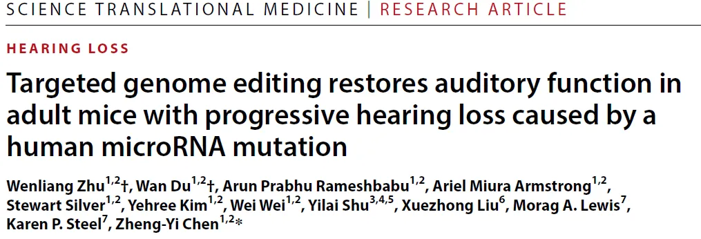 Sci Transl Med丨基因编辑治疗遗传性耳聋