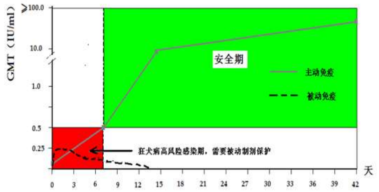 狂犬病被动免疫新选择——全球首创双抗要来了