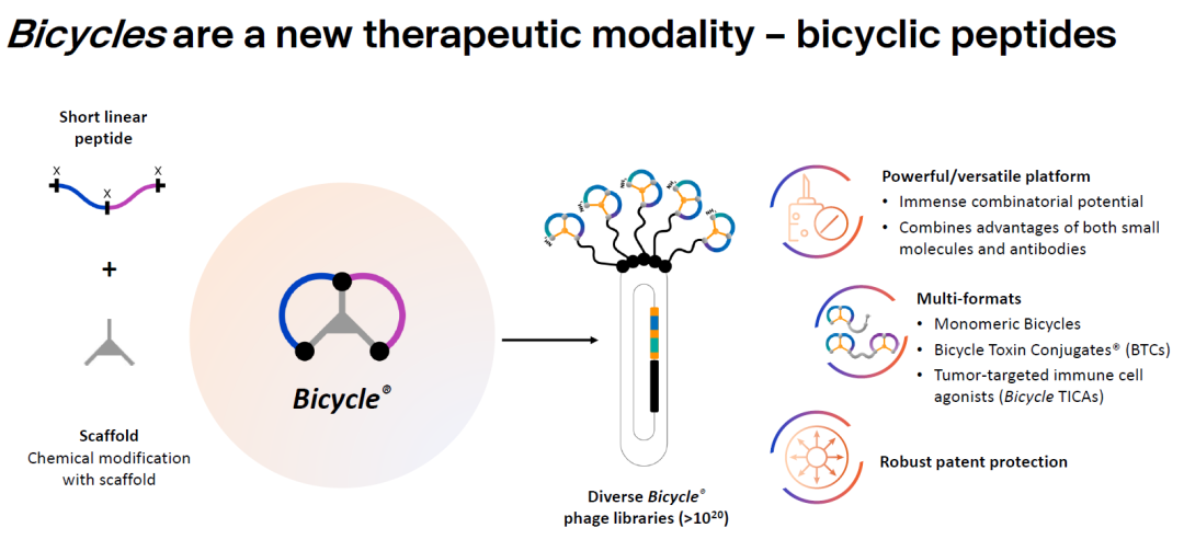 17.5亿美元：诺华与Bicycle合作开发靶向双环肽核药