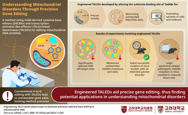 Korea University Study Explores a Novel and Precise Mitochondrial Gene Editing Method