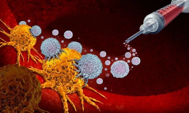 前沿 |《科学》子刊：三阴性乳腺癌治疗新策略——靶向这种免疫细胞