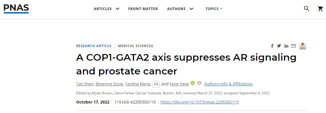 PNAS：科学家开发出有望抑制人类前列腺癌生长的新型疗法