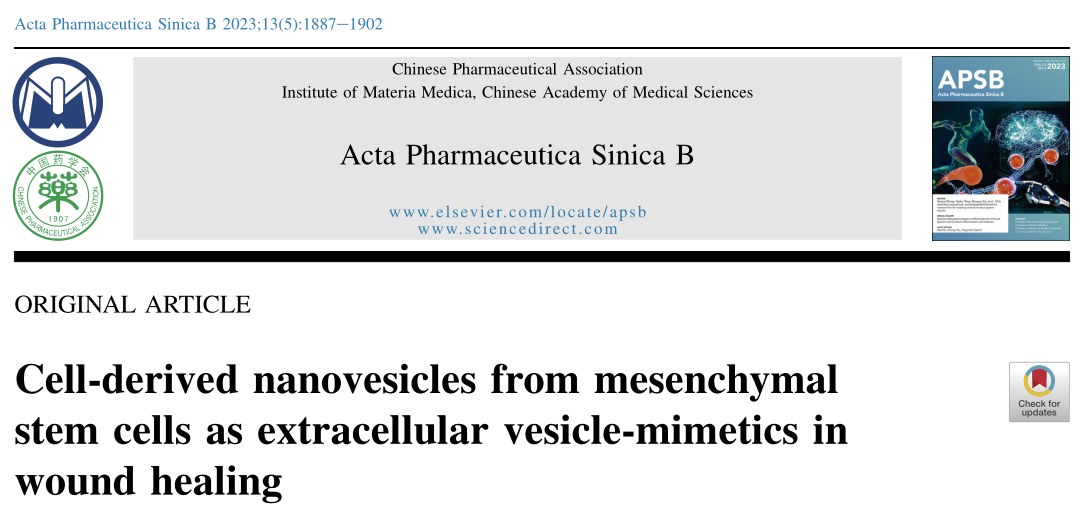 Acta Pharmaceutica Sinica B：间充质干细胞来源的纳米囊泡作为创伤愈合中的细胞外囊泡模拟物