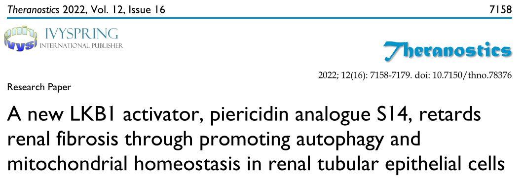 Theranostics: 一种新的LKB1激活剂通过促进肾小管上皮细胞自噬和线粒体动态平衡来延缓肾纤维化