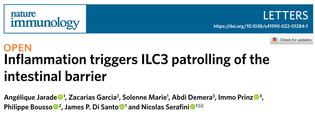 Nature Immunology：炎症触发ILC3巡视肠道屏障