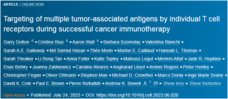 Cell：在癌症幸存者体内发现能够同时识别多种不同癌症相关靶标的杀伤性T细胞