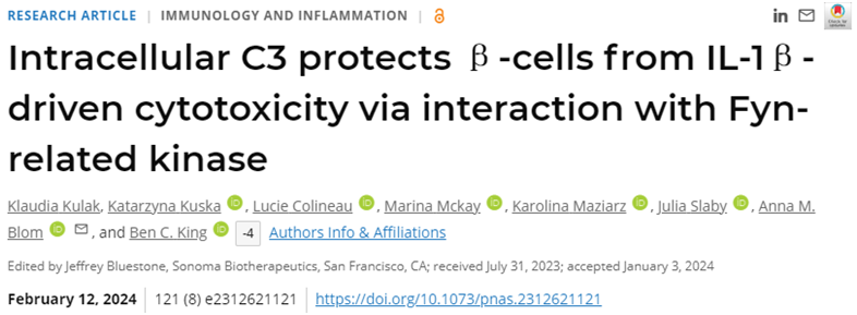 PNAS：细胞内C3通过与FRK 相互作用保护β细胞免受IL-1B驱动的损伤和死亡