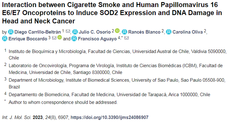 IJMS：香烟烟雾和HPV对细胞有协同作用，增加头颈癌的风险