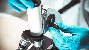 Celularity Announces Phase 1 Data Showing That MLASC Therapy in Patients With Crohn’s Disease May Be a Therapeutic Option to Manage Inflammatory Bowel Diseases and Prevent Fistula Formation