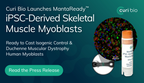 Curi Bio Launches MantaReady™ iPSC-Derived Skeletal Muscle Myoblasts