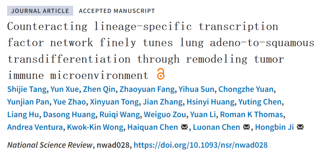 NSR：季红斌/陈洛南/陈海泉合作揭示肺腺鳞癌转分化分子机制及治疗靶点