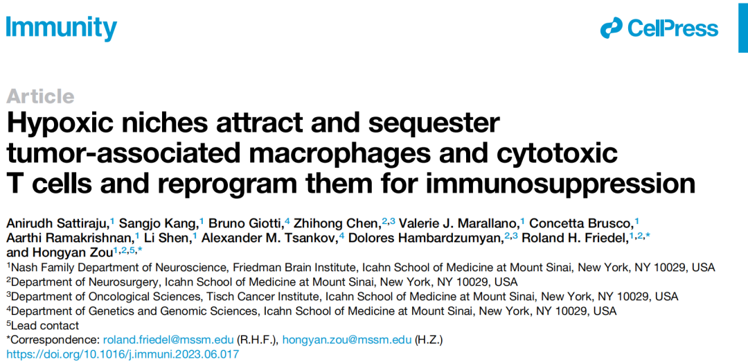 《免疫学》：发现肿瘤囚禁免疫细胞的窝点！华人科学家发现，瘤内缺氧区域吸引和封闭免疫细胞，并进行免疫抑制重编程