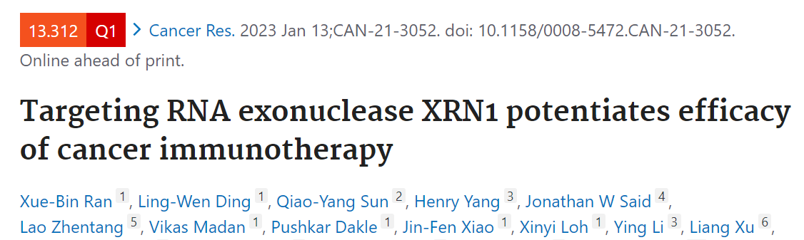 Cancer Res：靶向RNA外切酶XRN1增强肿瘤免疫治疗的疗效