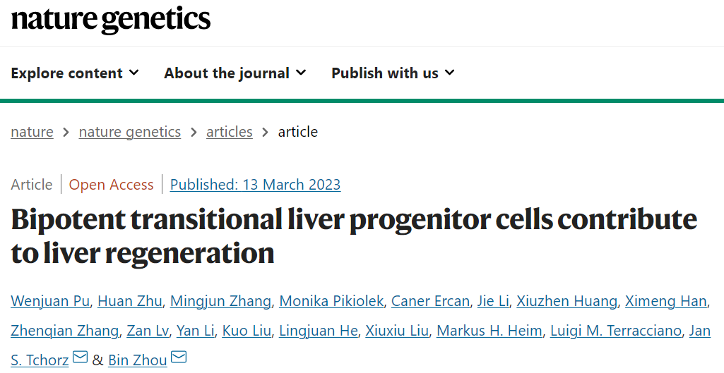 Nature子刊：周斌团队发现双潜能肝脏祖细胞促进肝脏修复再生机制