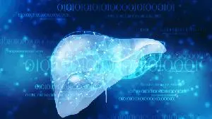 科学家们揭示了非酒精性脂肪肝的最新作用机制