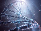 Researchers Publish 'Revolutionary' Gene Editing Findings