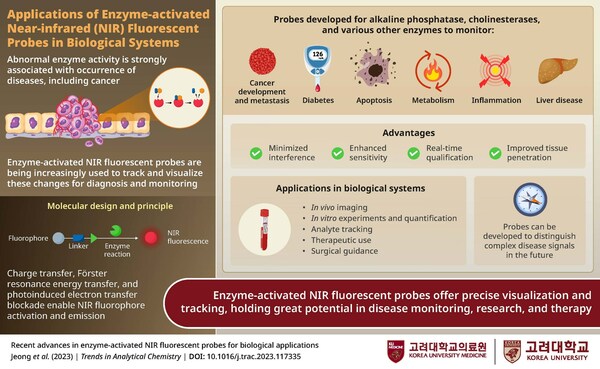 Korea University and Ewha Womans University Researchers Highlight Advancements in Biomedical Research with Enzyme-activated Fluorescent Probes