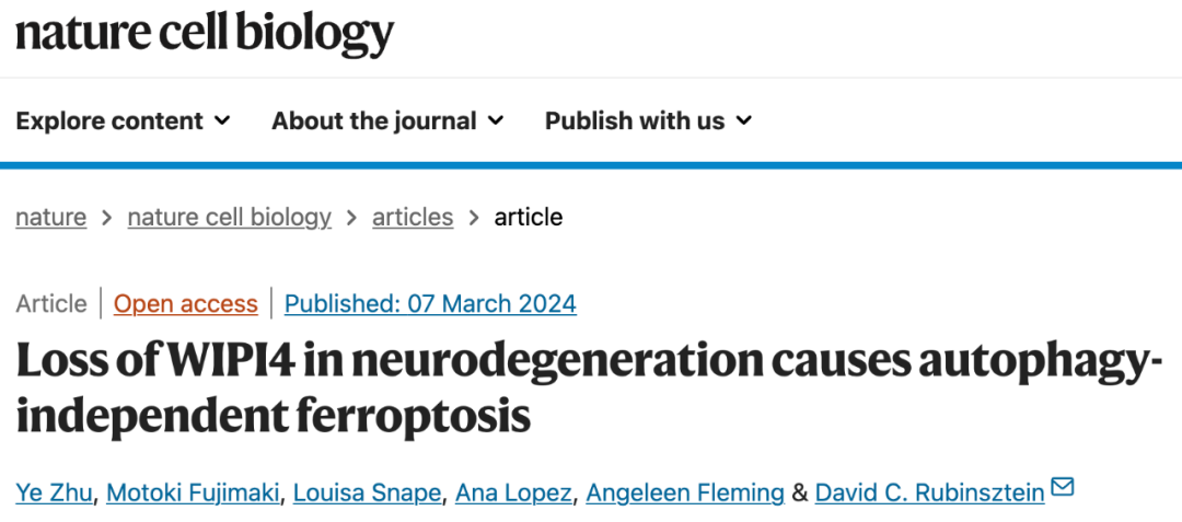 Nature子刊：神经退行性疾病中WIPI4缺失导致不依赖自噬的铁死亡