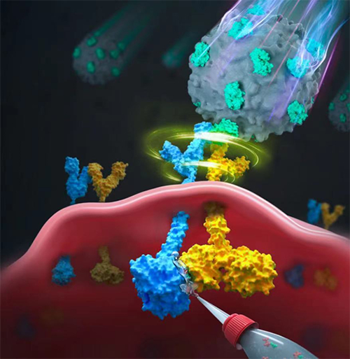 Nature：γδ T细胞免疫识别及创新佐剂机制研究方面取得进展