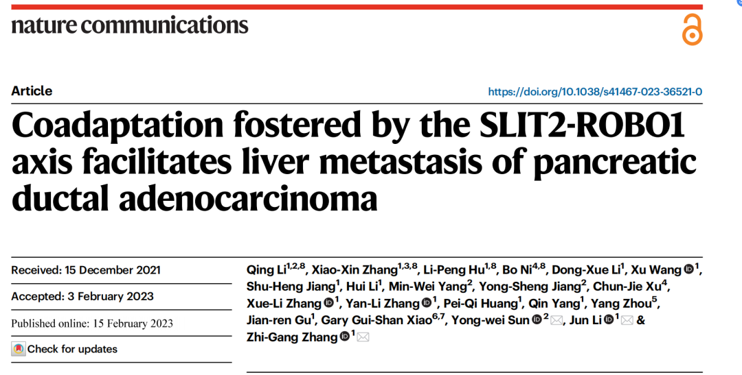 Nat Commun丨张志刚/孙勇伟团队揭示SLIT2-ROBO1轴调控胰腺导管腺癌肝转移的进程