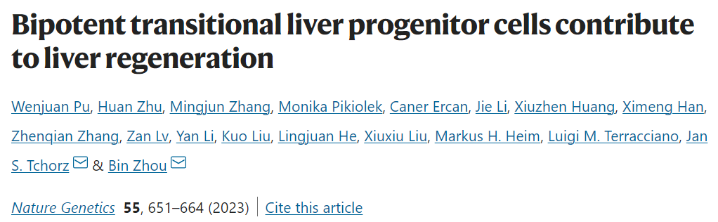 Nature Genetics封面论文：周斌团队发现促进肝再生的双潜能肝祖细胞