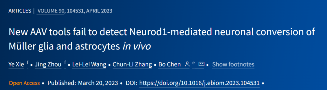 新型AAV体系再次验明NeuroD1不能在体内介导神经元的转分化