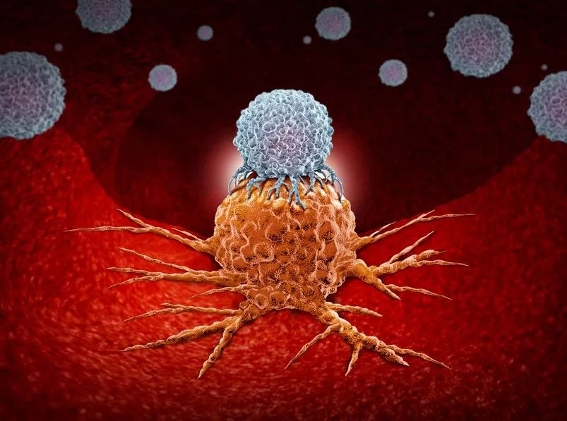 前沿 |《科学》子刊：三阴性乳腺癌治疗新策略——靶向这种免疫细胞