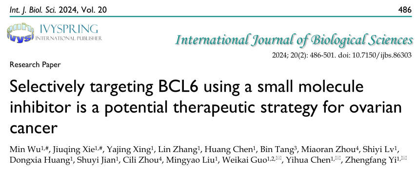 华东师范大学的研究者们揭示了小分子抑制剂选择性靶向BCL6是卵巢癌的潜在治疗策略