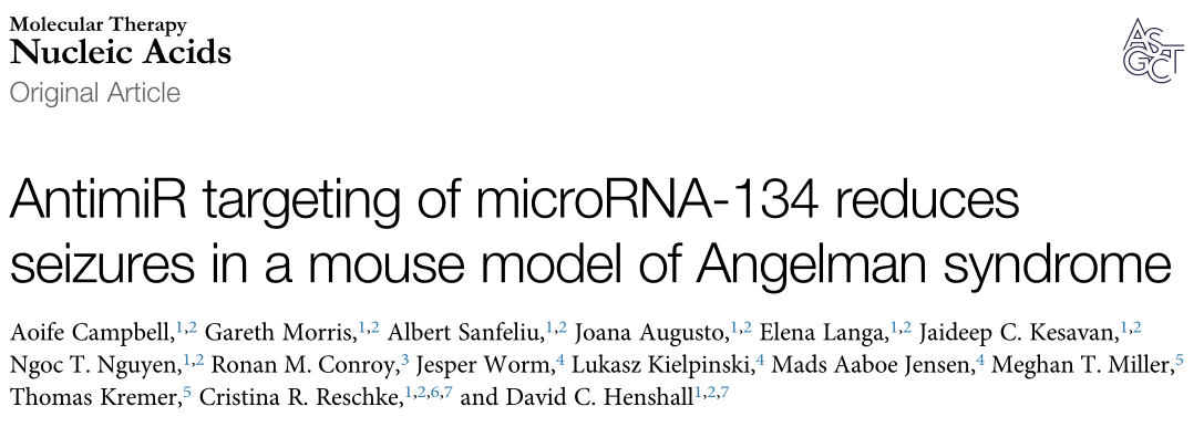 小核酸药物！靶向microRNA-134的反义寡核苷酸减少癫痫发作