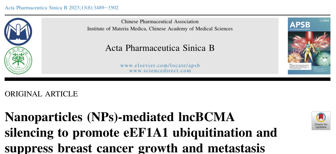 中山大学研究者们揭示了纳米粒介导的lncBCMA沉默促进eEF1A1泛素化并抑制乳腺癌生长和转移