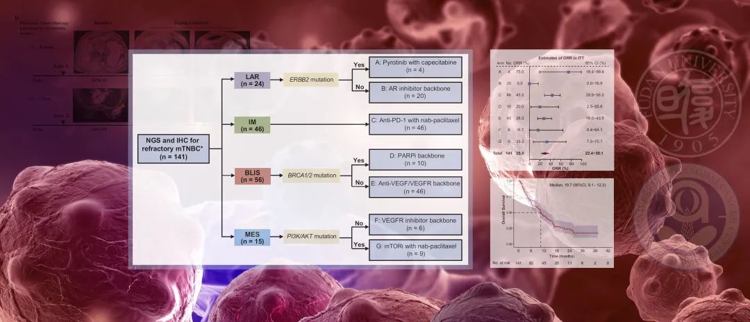 邵志敏教授团队治疗三阴性乳腺癌新突破：总人群的ORR提升至29.8%