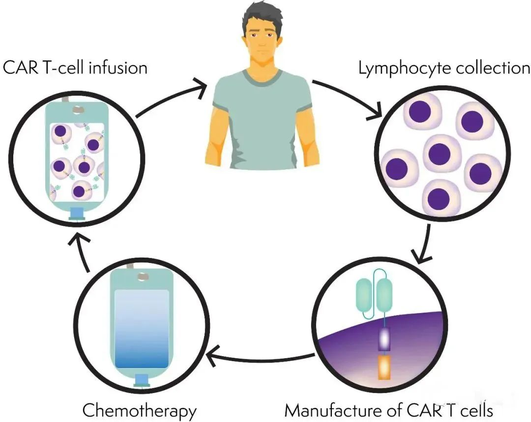 9种细胞治疗技术之间的差异及优劣势分析