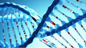 Intellia体内CRISPR基因编辑疗法获批开展三期临床
