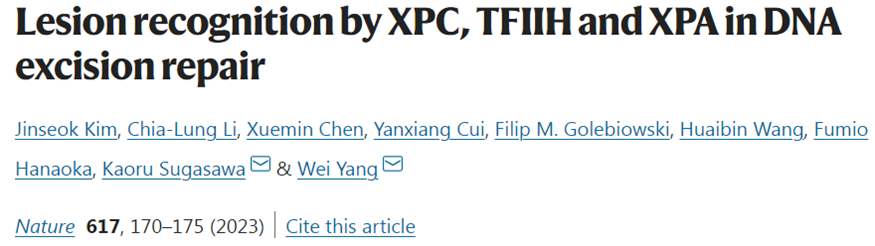 Nature：揭示蛋白XPC、TFIIH和XPA在DNA切除修复中识别DNA损伤机制