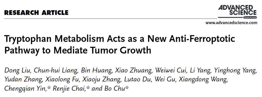 初波/柴人杰/尹成骞团队揭示色氨酸代谢调控肿瘤细胞铁死亡可塑性
